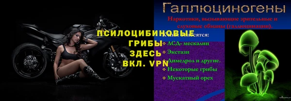 бошки Вяземский