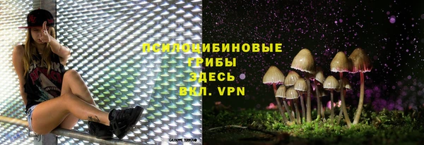 бошки Вяземский
