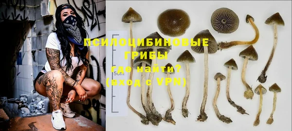 spice Вязники