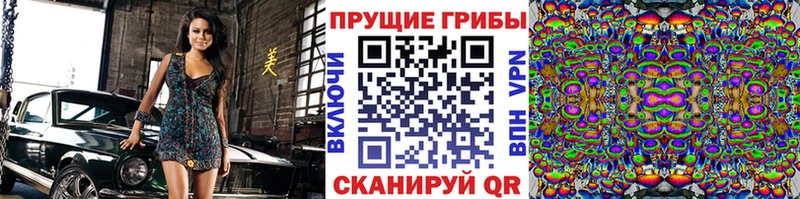 Псилоцибиновые грибы ЛСД  Купить закладки  Агрыз 
